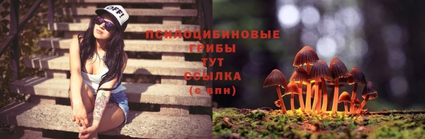 крисы Арсеньев