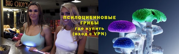 крисы Арсеньев